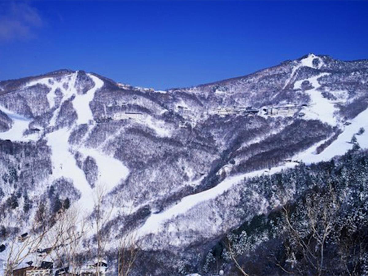 Shiga Swiss Inn Shiga Kogen Exterior photo